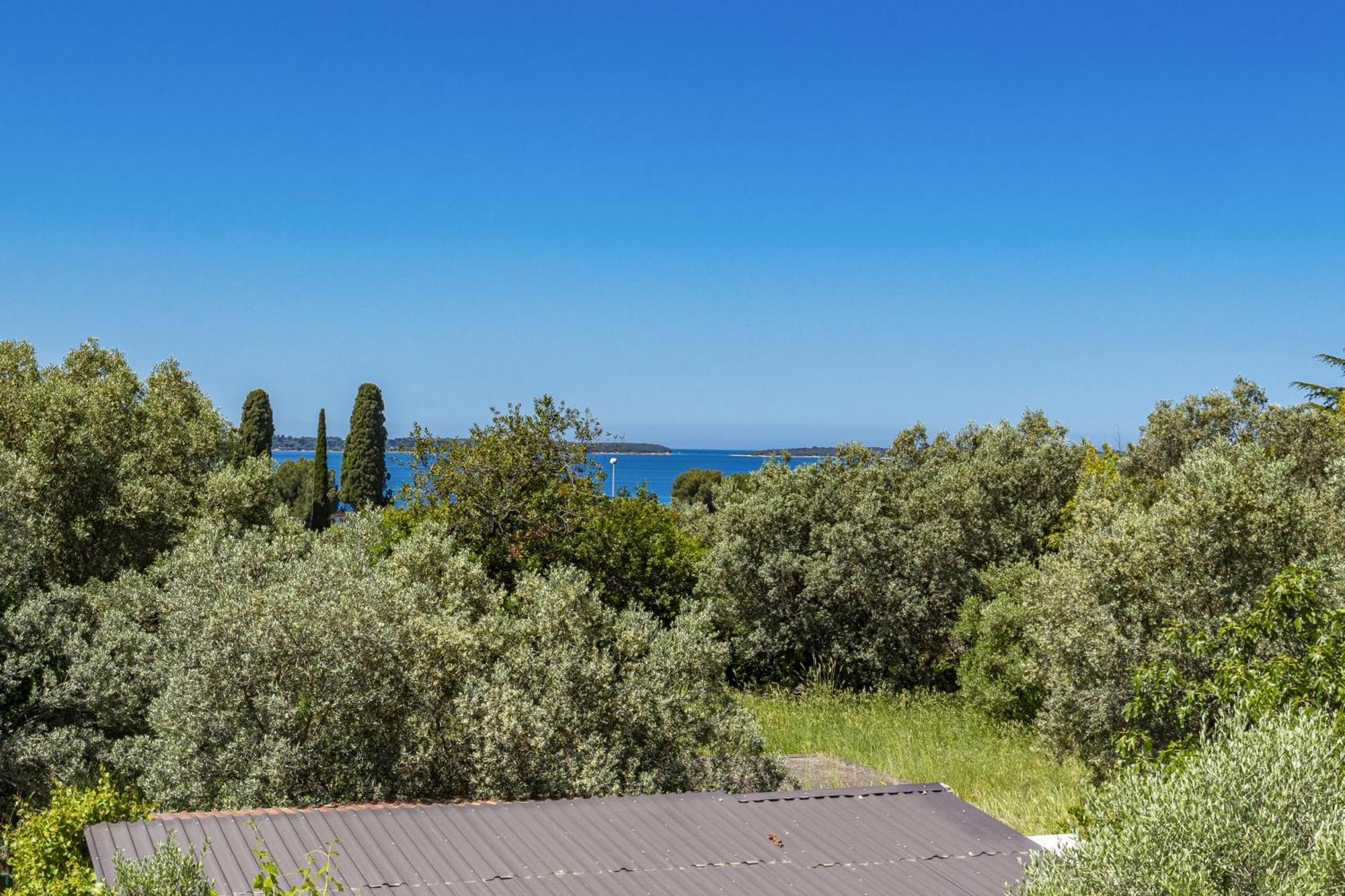 Apartment Nenad - Amazing Sea View ! Only 500 Meters From The Beach ! Fažana Zewnętrze zdjęcie